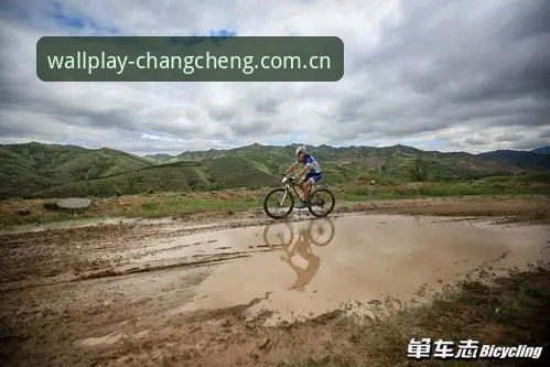 皇家社会后防升级指南：迪奥戈·莱特签约策略与长城体育真人互动体验